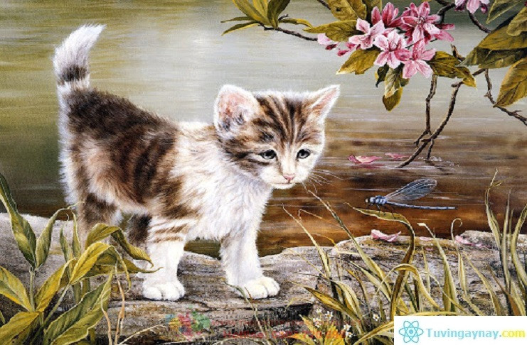 Cuối tháng 7 là lúc thần may mắn mỉm cười với con giáp Mão, khiến cuộc sống của họ trở nên khởi sắc, xua đuổi mọi vận xui. Họ liên tục gặp những cơ hội tốt, chuyển bại thành thắng, từ nghèo khó chuyển sang cuộc sống xông xênh, giàu có.