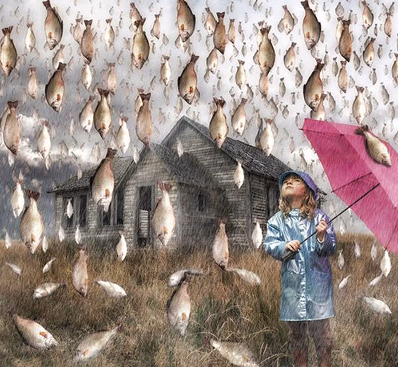 Theo mô tả của người dân, cơn mưa cá mới nhất tại thành phố Departamento de Yoro: Bầu trời xuất hiện những đám mây đen lớn phủ khắp một vùng, tiếp sau đó là sấm chớp rền rĩ, gió thổi mạnh trước khi cơn mưa rào kéo dài 2-3 giờ ập đến. Ngay khi trời tạnh, hàng trăm con cá còn sống rơi ào ào xuống đường phố. Người ta cũng không ngần ngại nhặt về nấu ăn, coi như “lộc trời”. Dù một số nhà khoa học đã cố gắng giải thích rằng đó là sự kiện khí tượng học rất tự nhiên, nhưng vẫn không đủ sức thuyết phục số đông. Bởi, trong những cơn mưa ấy, không hề có cá biển mà chỉ có cá nước ngọt, không lớn mà rất nhỏ, là loại cá không có ở trong vùng.