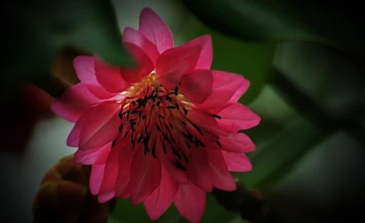 Ngay trong ngày đầu tháng, họ đã có cơ hội tiền được “dúi vào tay”, người kinh doanh mua may bán đắt, những ngành nghề khác cũng được thuận buồm xuôi gió, khởi đầu cả tháng hanh thông. *Thông tin trong bài chỉ mang tính tham khảo, chiêm nghiệm. 