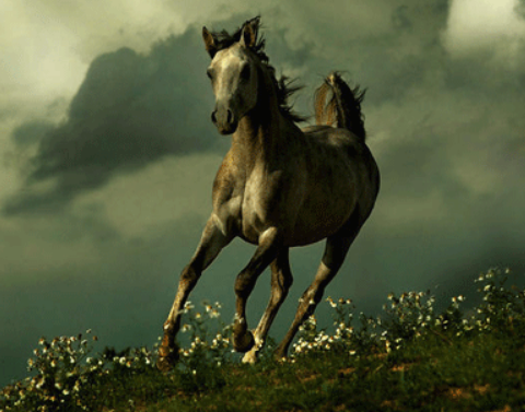 3. Tuổi Ngọ: Con giáp Ngọ có trí thông minh cao, tâm địa rộng mở, biết cách khoan dung. Từ 13/7 trở đi, thần may mắn đồng hành, công việc thuận lợi, mọi việc đều như ý, toàn gia vui vẻ, hòa đồng.