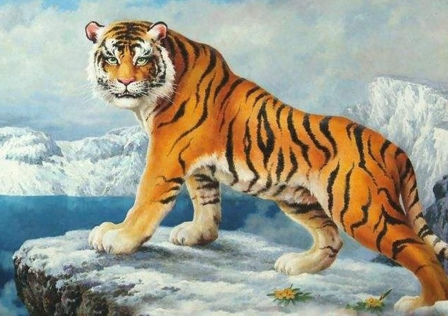 2. Tuổi Dần: Trong số 12 con giáp, con giáp Dần thích những sự việc mới lạ, tính tình thẳng thắn, từ 13/7 trở đi, tiền tài và phúc đức song hành, mở ra nhiều cơ hội sáng sủa.