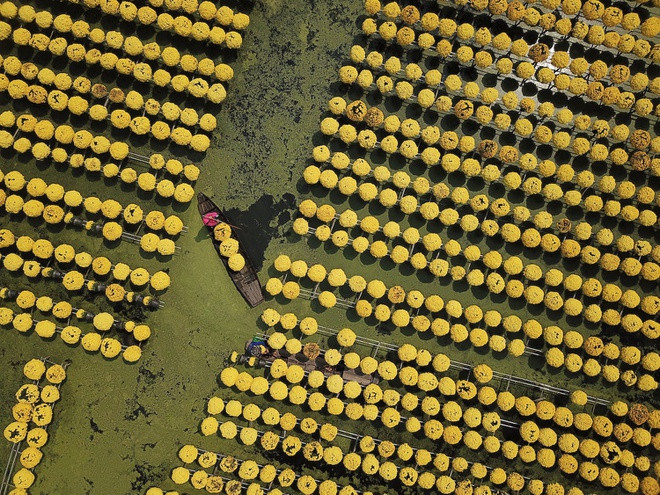 Làng hoa Sa Đéc được biết đến là thủ phủ hoa, kiểng của cả khu vực đồng bằng sông Cửu Long, có truyền thống hơn 100 năm. Nơi đây chuyên cung cấp đủ loại hoa, kiểng cho khắp các địa phương lân cận. Những ngày giáp Tết, làng hoa Sa Đéc trở nên nhộn nhịp, rực rỡ hơn bao giờ hết, thu hút đông du khách tìm đến.