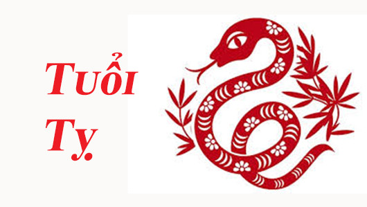 2. Tuổi Tị: Trong số 12 con giáp, người tuổi Tị trong tháng 8 được sao Quốc Ấn, Hồng Loan chiếu rọi, vận đào hoa liên tiếp, nếu là người độc thân muốn thoát kiếp FA, xin chúc mừng đây chính là thời cơ của bạn.