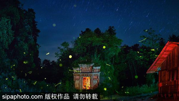 Mùa đom đóm bay ra trong đêm khiến cuộc sống thêm phần sinh động. Thi sĩ Chu Thục Chân, người Hàng Châu được xem là Đệ nhất nữ thi nhân Trung Quốc, thuộc triều Nam Tống (1127-1279) từng mô tả cảnh bầy trẻ chơi với đom đóm vào ban đêm trong một bài thơ nổi tiếng.