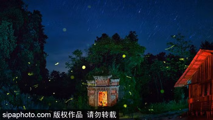 Mùa đom đóm bay ra trong đêm khiến cuộc sống thêm phần sinh động. Thi sĩ Chu Thục Chân, người Hàng Châu được xem là Đệ nhất nữ thi nhân Trung Quốc, thuộc triều Nam Tống (1127-1279) từng mô tả cảnh bầy trẻ chơi với đom đóm vào ban đêm trong một bài thơ nổi tiếng.