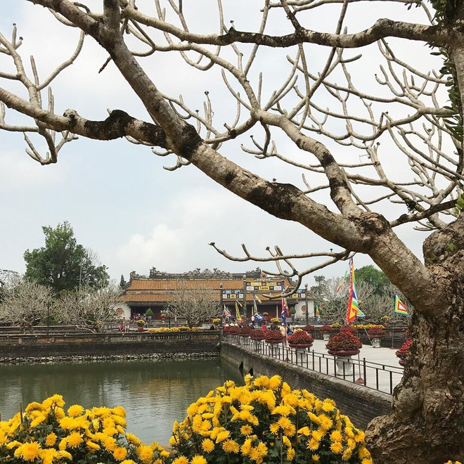 Điện Thái Hòa là công trình quan trọng nhất trong khu vực Đại nội Huế, nơi đặt ngai vàng của các vua Nguyễn, biểu tượng quyền lực triều đại, nay đã được công nhận bảo vật quốc gia. Điện xây dựng tháng 2/1805, hoàn thành vào tháng 10 cùng năm, theo kiểu thức trùng thiềm điệp ốc (hai bộ mái trên một mặt nền), lợp ngói hoàng lưu ly, có 80 cột gỗ lim trang trí rồng mây. Nơi đây từng chứng kiến lễ đăng quang của 13 vua Nguyễn, các lễ đại triều, vạn thọ...