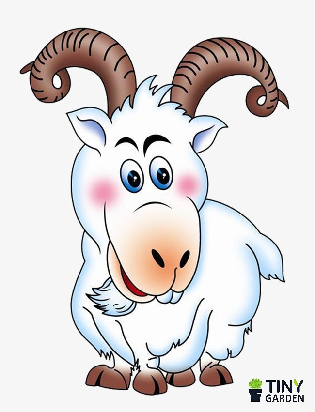 Trong tháng 8, trước những biến động của đời sống, họ vẫn giữ được sự bình tĩnh và tìm thấy cơ hội trong những khó khăn, từ đó chuyển bại thành thắng, vươn lên bỏ xa các đối thủ.