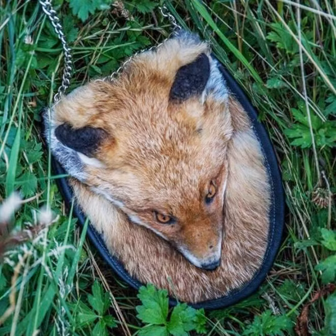  Nhận thấy việc vứt xác động vật gây ô nhiễm môi trường nên cô ướp xác chúng và thiết kế thành loạt túi xách độc nhất vô nhị. 