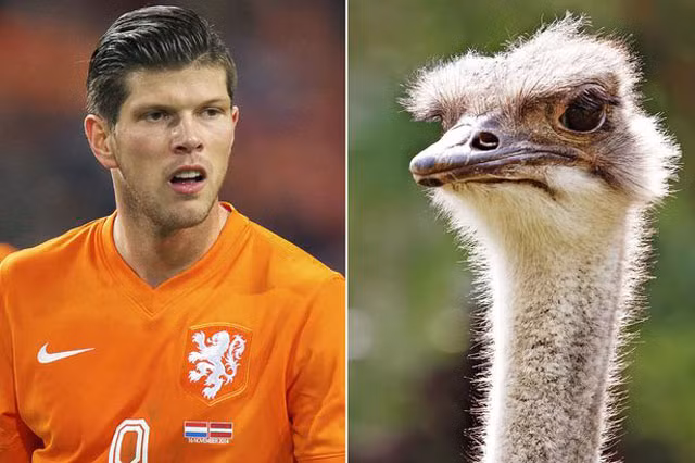Klaas-Jan Huntelaar và con đà điểu.