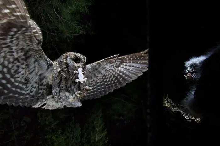 Bức ảnh mà nhiếp ảnh gia Kurt Jay Bertels mất rất nhiều công sức mới chụp được ở đảo Síp.