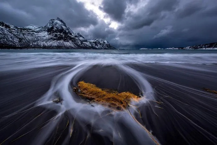 Đây không phải là cảnh quay trong một bộ phim kinh dị, mà chỉ là một đám cỏ rong biển bị thủy triều cuốn đi vào Đại Tây Dương từ bờ biển Na Uy. Ảnh: Audun Rikardsen.