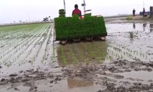 La lam voi may cay sieu nhanh danh cho nong dan