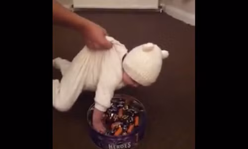 Hai huoc ong bo bien con thanh chiec can cau