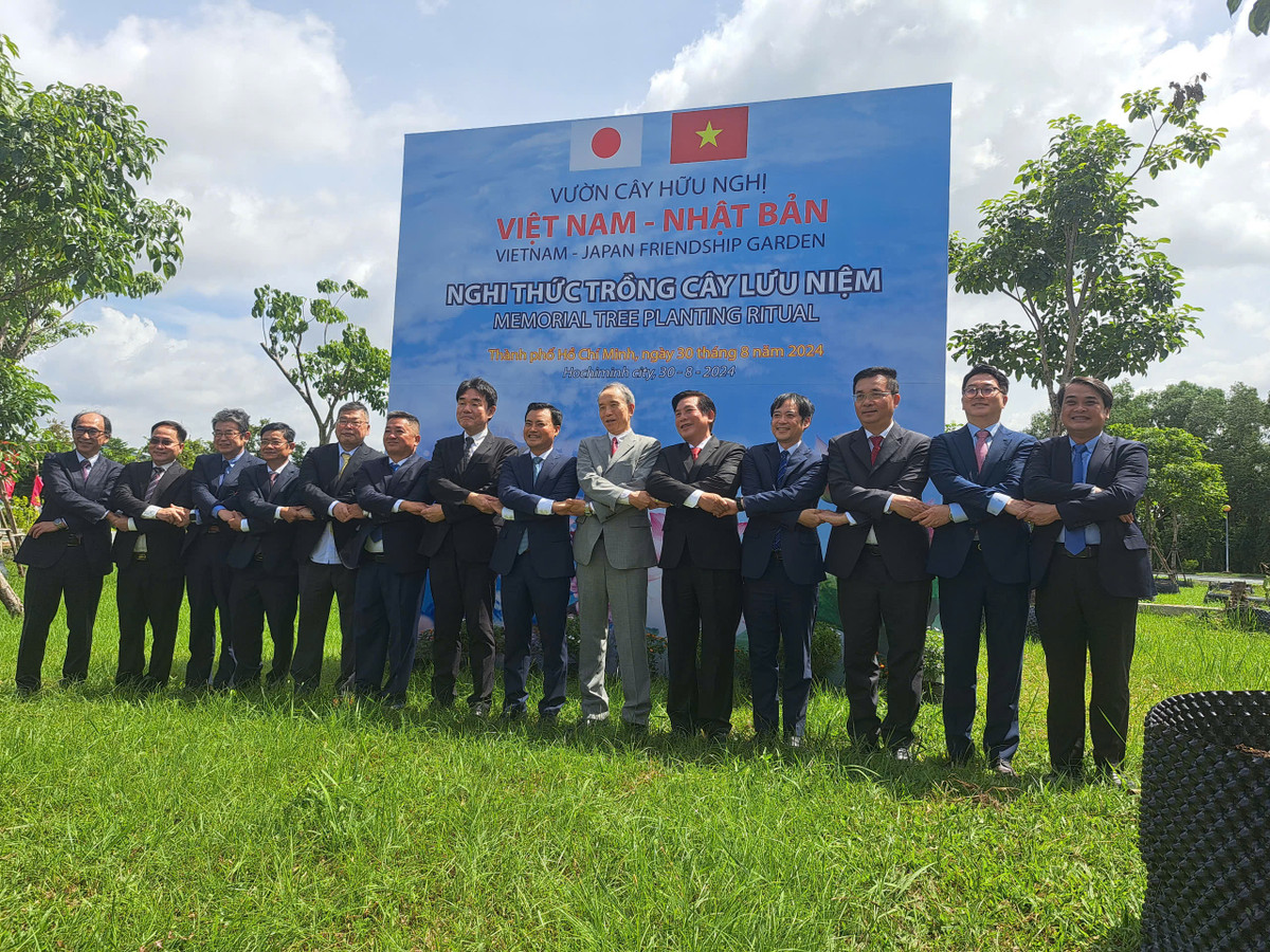 He thong cong trinh bien nhieu dong kenh o TP HCM xanh tro lai-Hinh-10