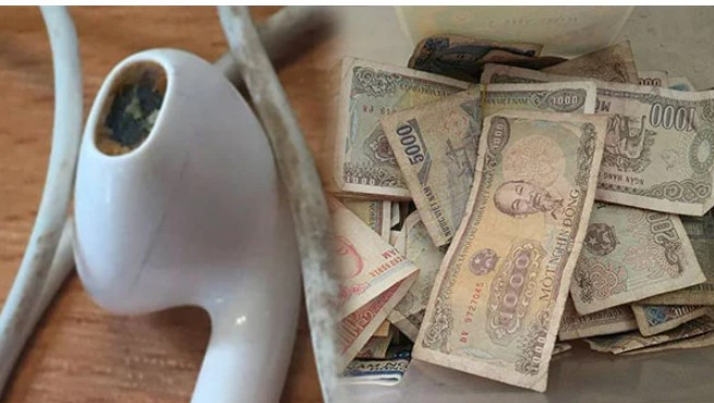 8 do vat quen thuoc la o vi khuan mang day mam benh