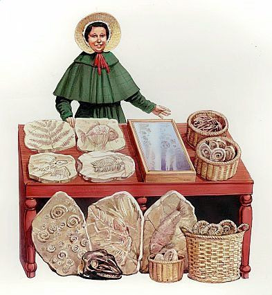 Bà Mary khi lên 6 tuổi thường cùng cha tìm kiếm, khai quật và làm sạch hóa thạch. Sau khi ông Richard qua đời năm 1810, bà Molly một mình nuôi 2 con và đang mang thai người con thứ ba.