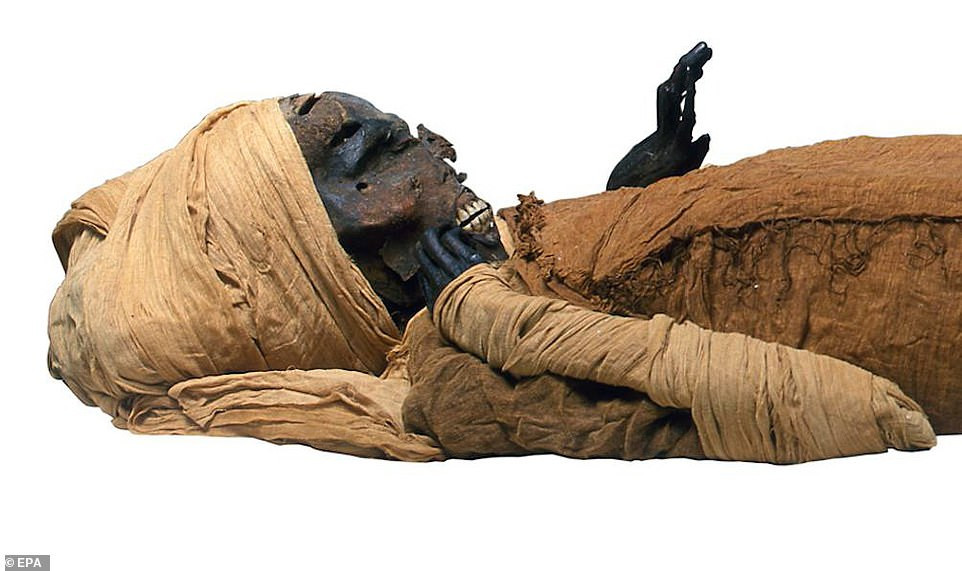 Mới đây, các nhà khoa học thuộc Đại học Cairo công bố kết quả nghiên cứu về xác ướp pharaoh Seqenenre Taa II.