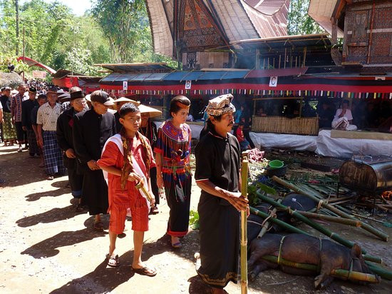 Không những vậy, gia đình còn trò chuyện hoặc chải tóc cho người quá cố. Những việc làm này được người Toraja thực hiện trong suốt một tháng cho đến một năm.