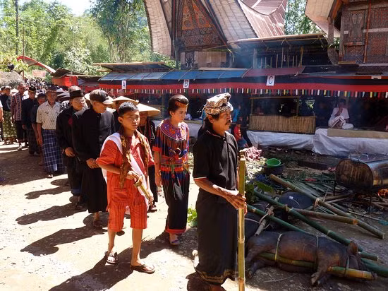 Không những vậy, gia đình còn trò chuyện hoặc chải tóc cho người quá cố. Những việc làm này được người Toraja thực hiện trong suốt một tháng cho đến một năm.