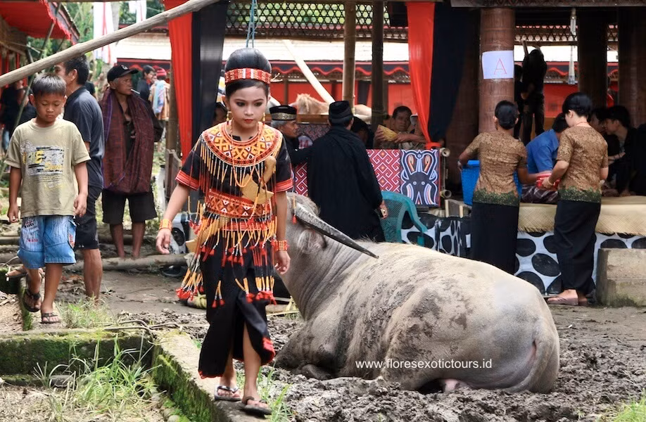 Không chỉ họ hàng của người chết, những thành viên khác trong bộ tộc Toraja cũng đến tham gia lễ an táng. Họ quan niệm, lễ an táng càng công phu và đầy đủ thì linh hồn người quá cố sẽ đến gần với thần linh hơn và được họ che chở.