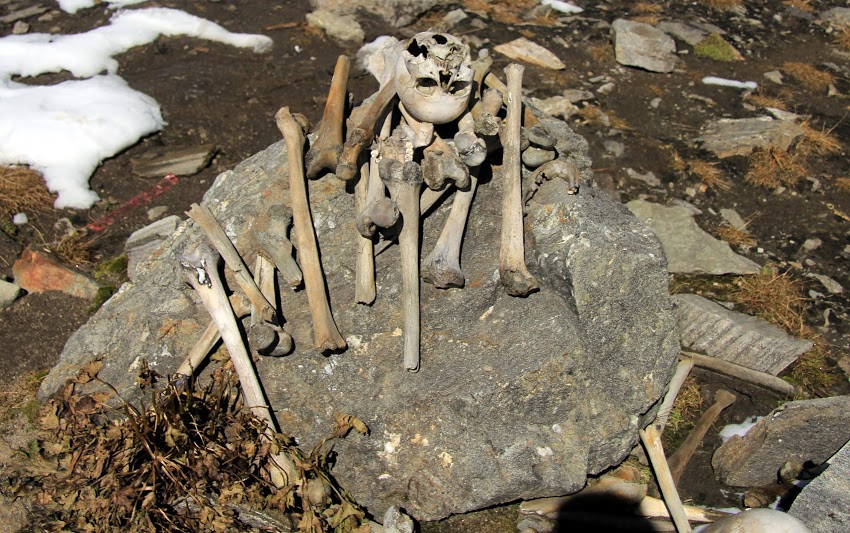 Từ đây, giới chuyên gia vô cùng tò mò một nhóm người Địa Trung Hải làm gì ở khu vực hồ Roopkun và qua đời như thế nào.