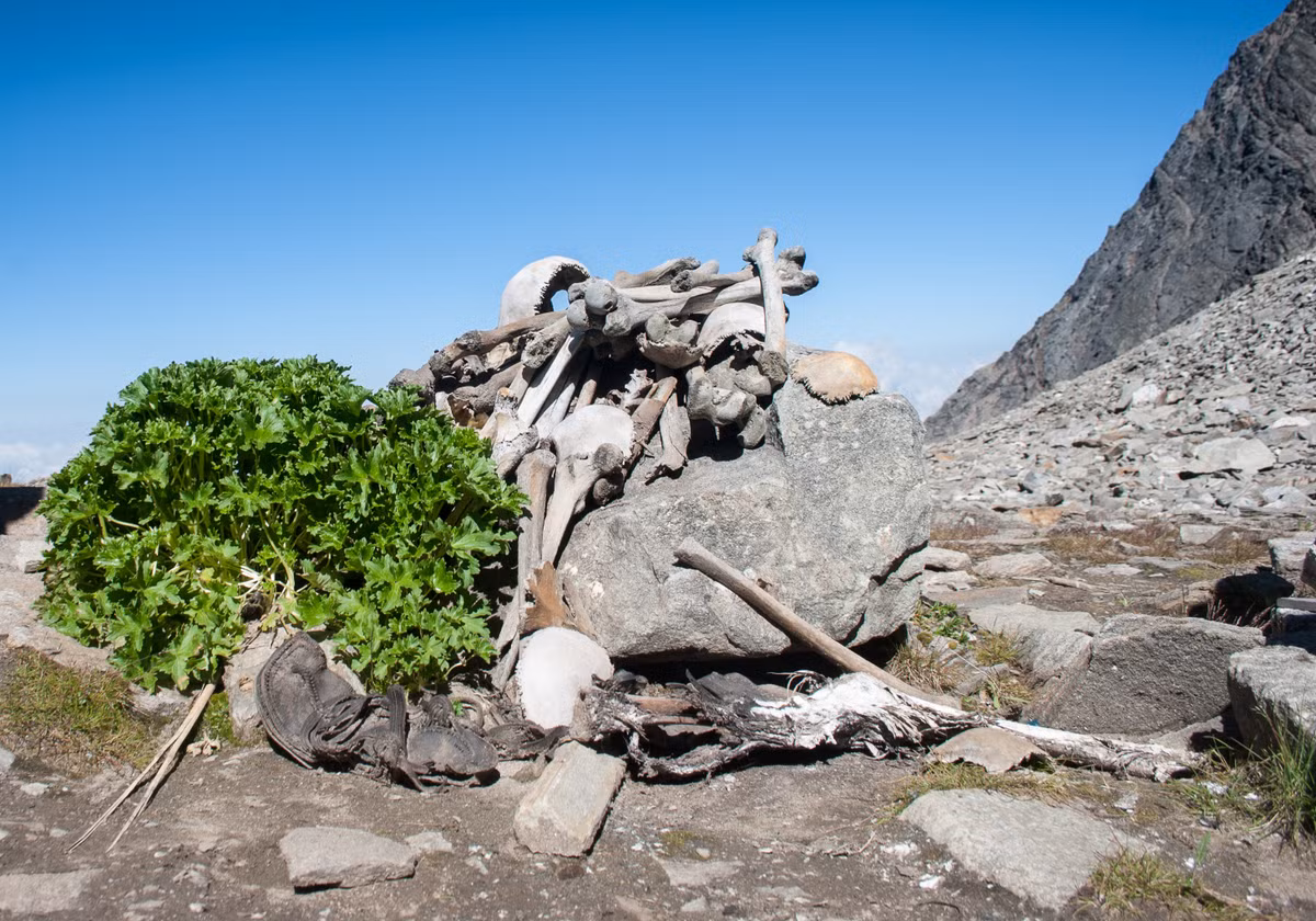 Theo đó, giả thuyết những người này tử vong do trận mưa đá dữ dội được xem là lời giải thích hợp lý nhất về những gì đã xảy ra.