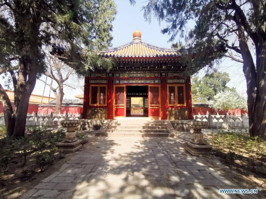 Màu đỏ và vàng là hai màu sắc chủ đạo trong Tử Cấm Thành. Những gam màu này tượng trưng cho quyền uy và sự giàu sang, phú quý của bậc đế vương Trung Quốc thời phong kiến.