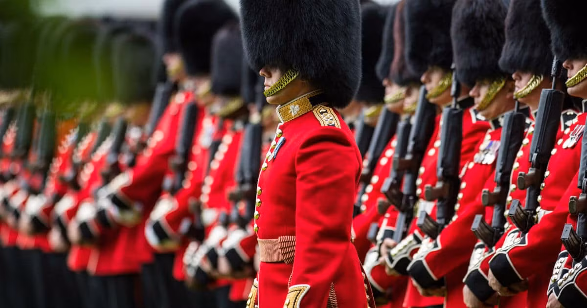 Một số sự kiện do quân đội Anh tổ chức cũng có sự tham gia của những người lính đội mũ lông gấu với kích thước khủng.