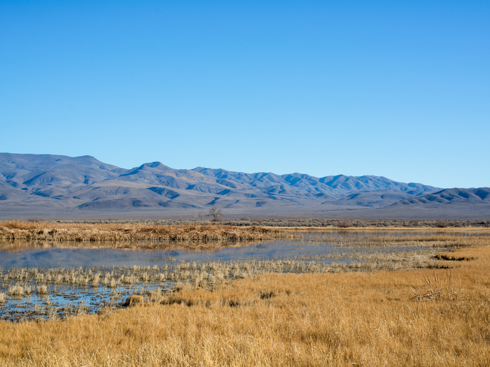 Hai xác ướp được bọc trong một tấm thảm bằng lau sậy. Cả hai thi hài được chuyển đến Bảo tàng bang Nevada để bảo quản và phục vụ công tác nghiên cứu.