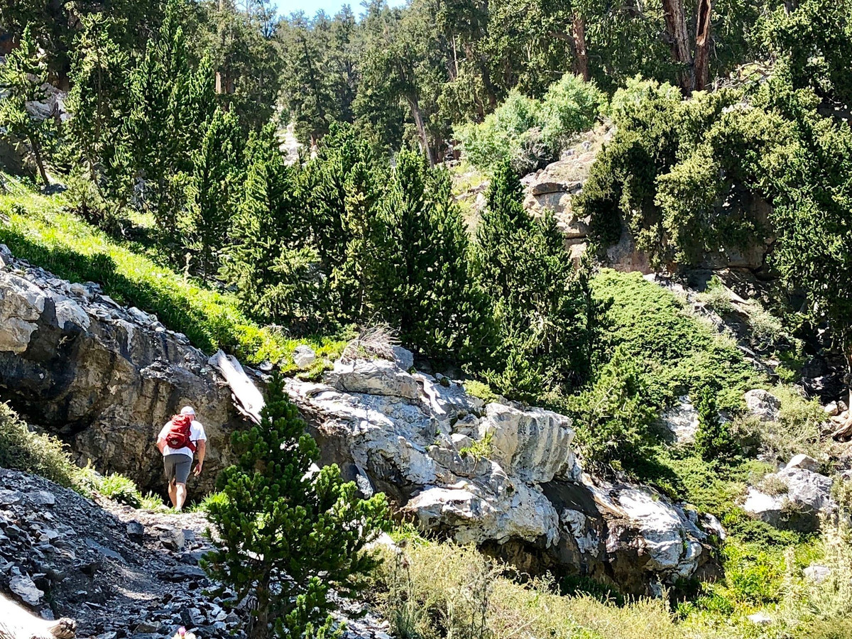 Sau khi tiến hành những kiểm tra trên, năm 2018, các chuyên gia thuộc Đại học Cambridge đưa ra kết luận hai xác ướp được tìm thấy ở Nevada là người Mỹ bản địa.