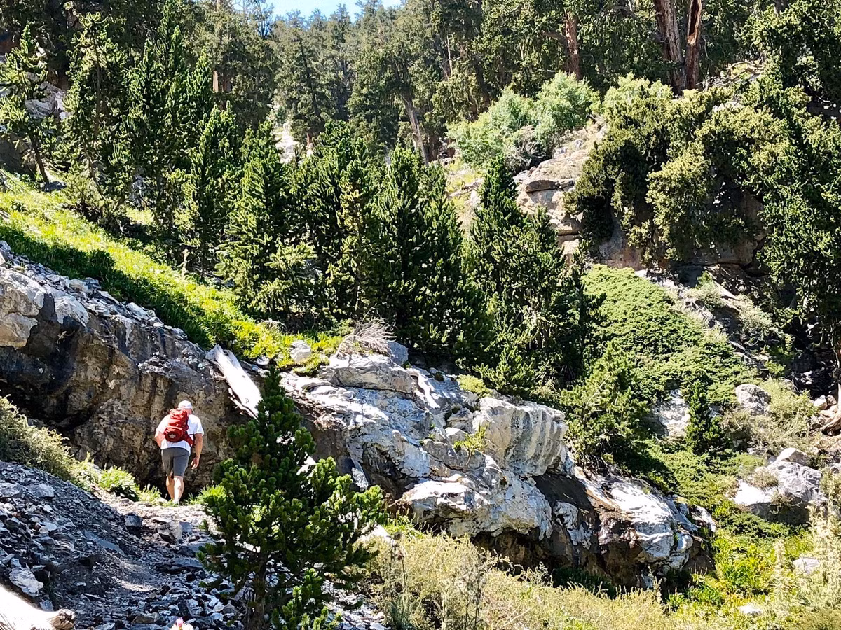Sau khi tiến hành những kiểm tra trên, năm 2018, các chuyên gia thuộc Đại học Cambridge đưa ra kết luận hai xác ướp được tìm thấy ở Nevada là người Mỹ bản địa.