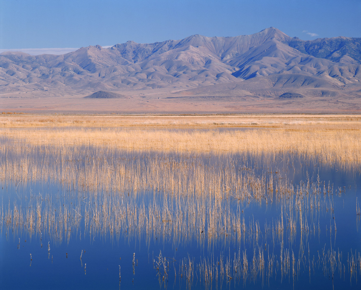 Tiếp đến, các chuyên gia tiến hành nghiên cứu ADN để giải mã bí ẩn về nguồn gốc của xác ướp.