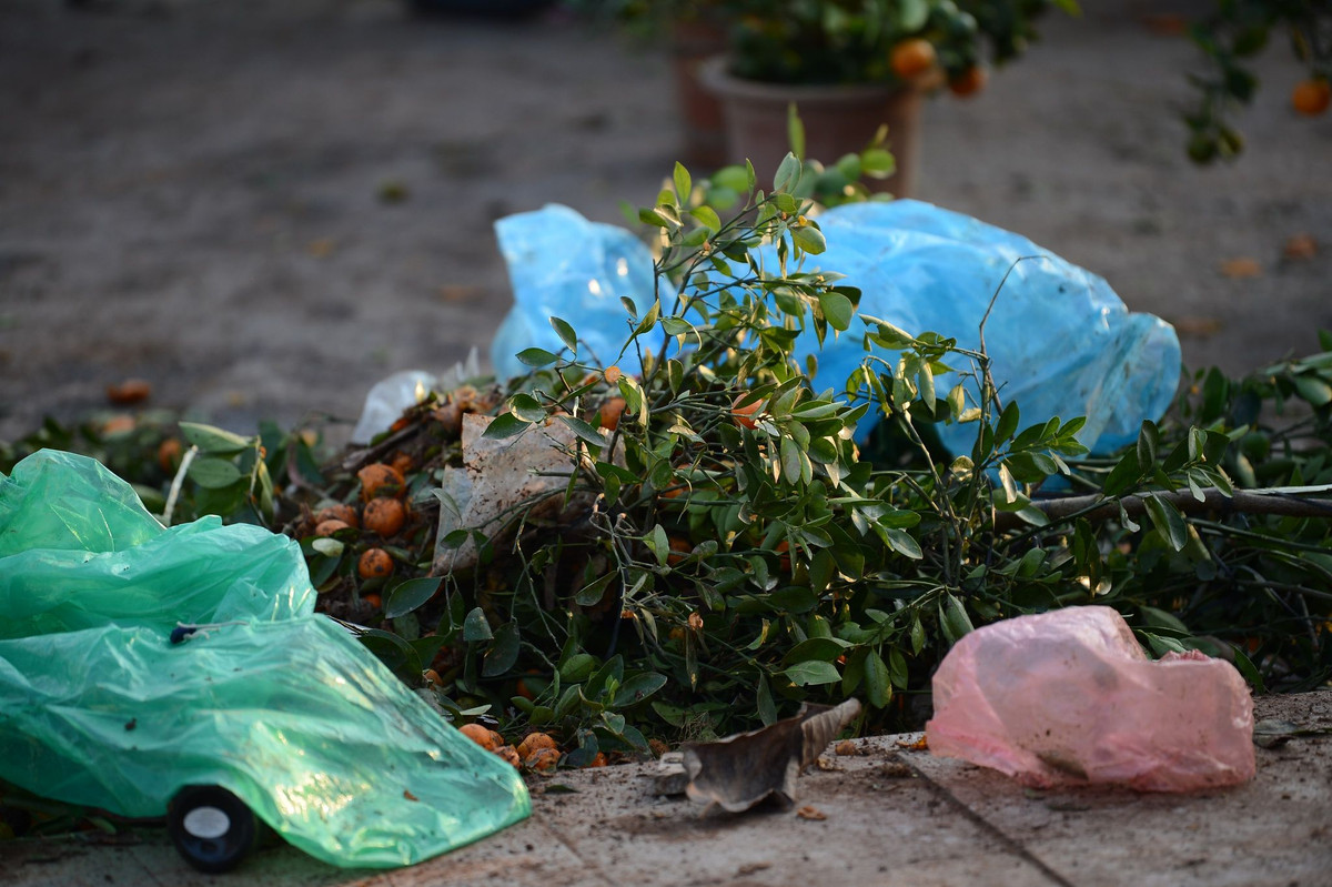 Những chậu đào, quất không được bán hết đa phần cũng sẽ bị bỏ lại trên phố.