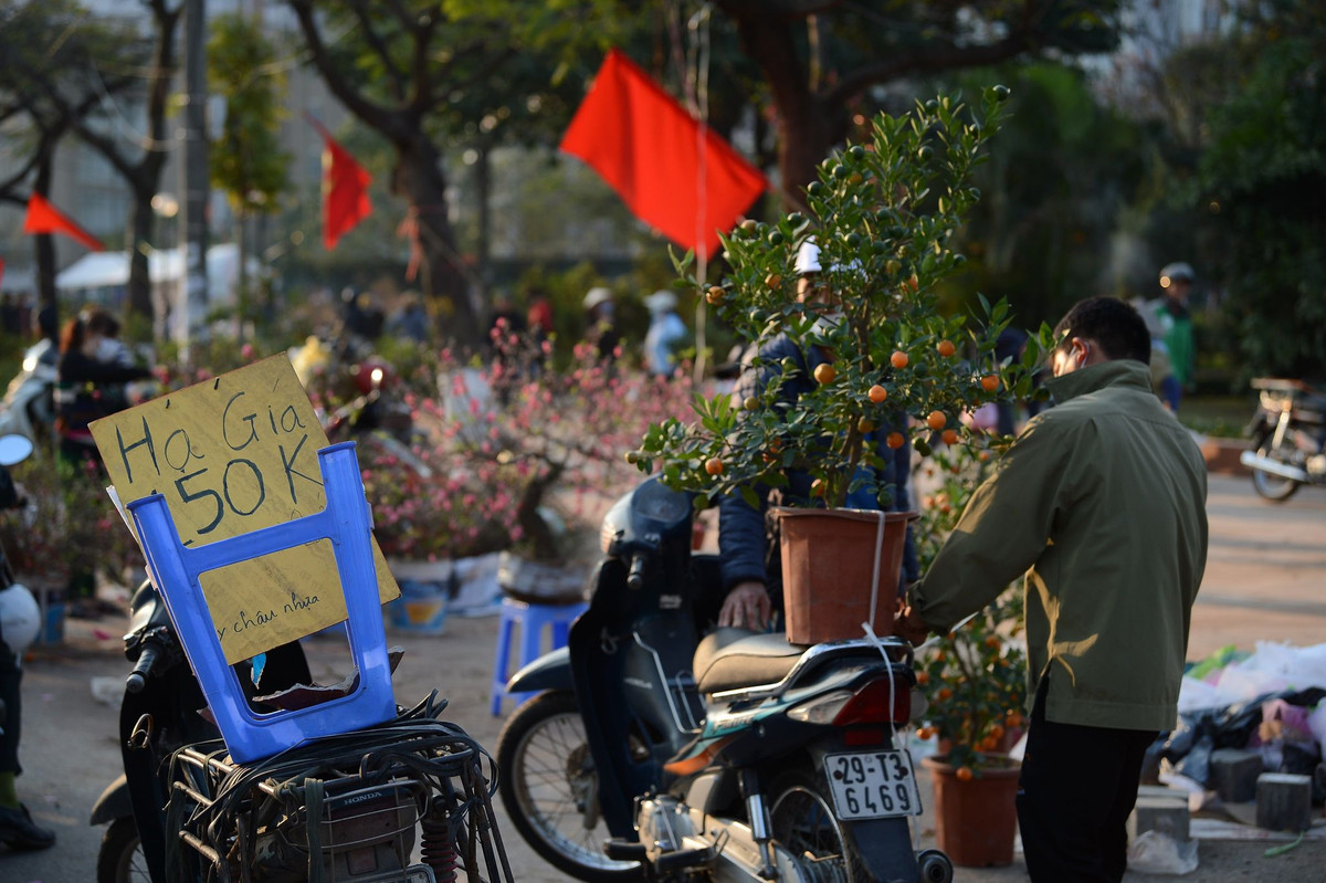 Các tiểu thương buôn hoa cho biết, do COVID-19 nên giá cây cảnh Tết rẻ, người đi xem thì có nhưng quá ít người mua