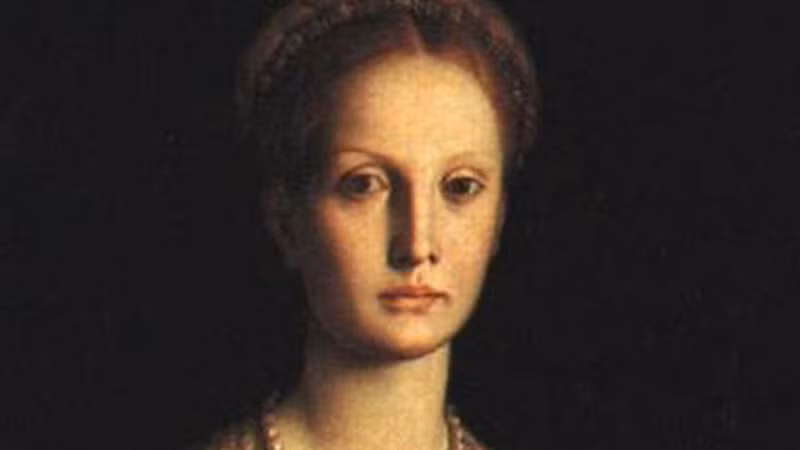 Những tin đồn về tội ác của nữ bá tước Elizabeth được lan truyền rộng rãi trong dân chúng. Theo đó, Vua Mathias II sai người đến lâu đài Csejthe điều tra và phát hiện tội ác chất chồng của nữ bá tước.