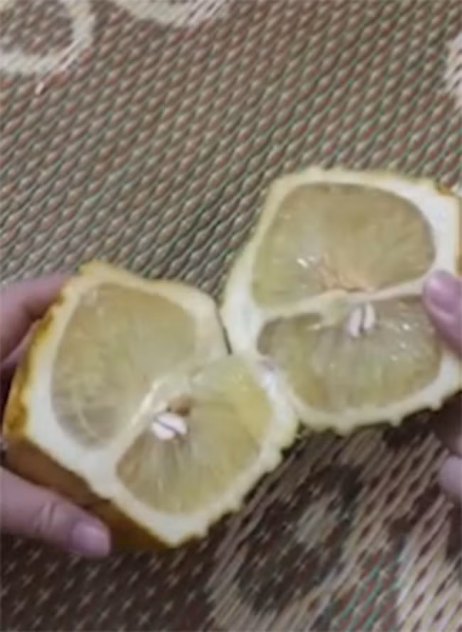 Mang buoi, dua hau Tai - Loc trung Tet ra bo, cai ket choang vang-Hinh-3