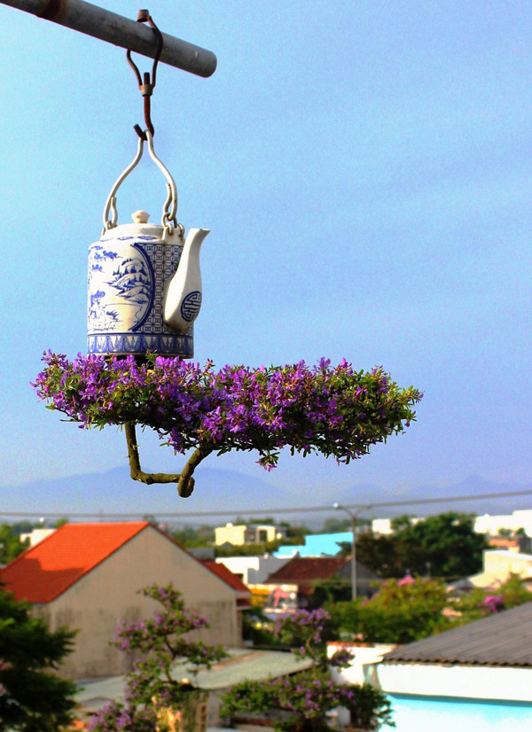 Mua cay “re tien” ve trong “nguoc”, khach tra ca chuc trieu van khong ban-Hinh-3