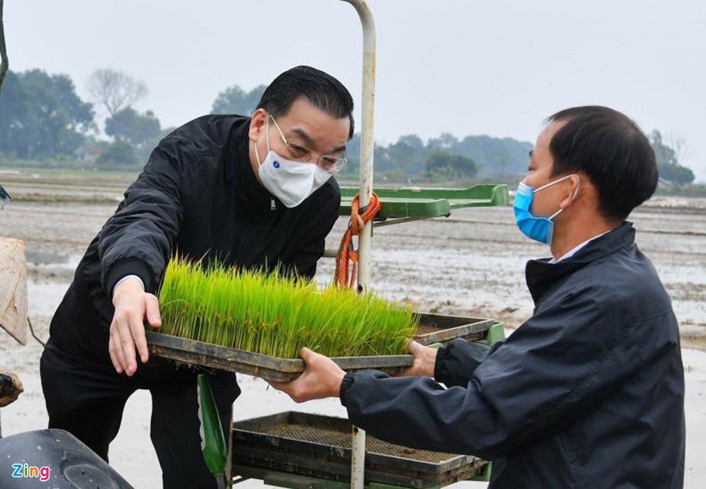 Lãnh đạo Hà Nội chúc bà con một vụ mùa bội thu, đồng thời tự giác thực hiện tốt các biện pháp phòng, chống dịch COVID-19, cùng thành phố thực hiện tốt “nhiệm vụ kép”.