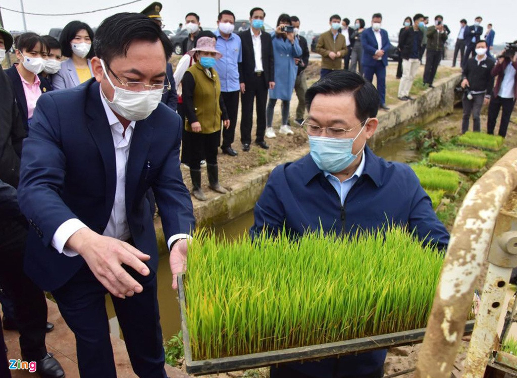 Sáng 19/2, Bí thư Thành ủy Vương Đình Huệ và Chủ tịch UBND TP Chu Ngọc Anh đã xuống đồng cấy lúa, động viên nông dân và làm việc tại huyện Thạch Thất.