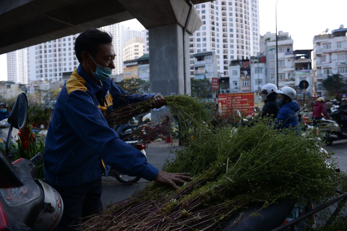 Theo quan niệm dân gian, tắm nước lá mùi già trong ngày cuối năm mang ý nghĩa tẩy những điều không sạch sẽ, xua tan những chuyện không hay để nghênh đón những điều may mắn trong năm mới. Ngoài ý nghĩa truyền thống, tắm nước lá mùi sẽ mang lại cảm giác thoải mái, dễ chịu.