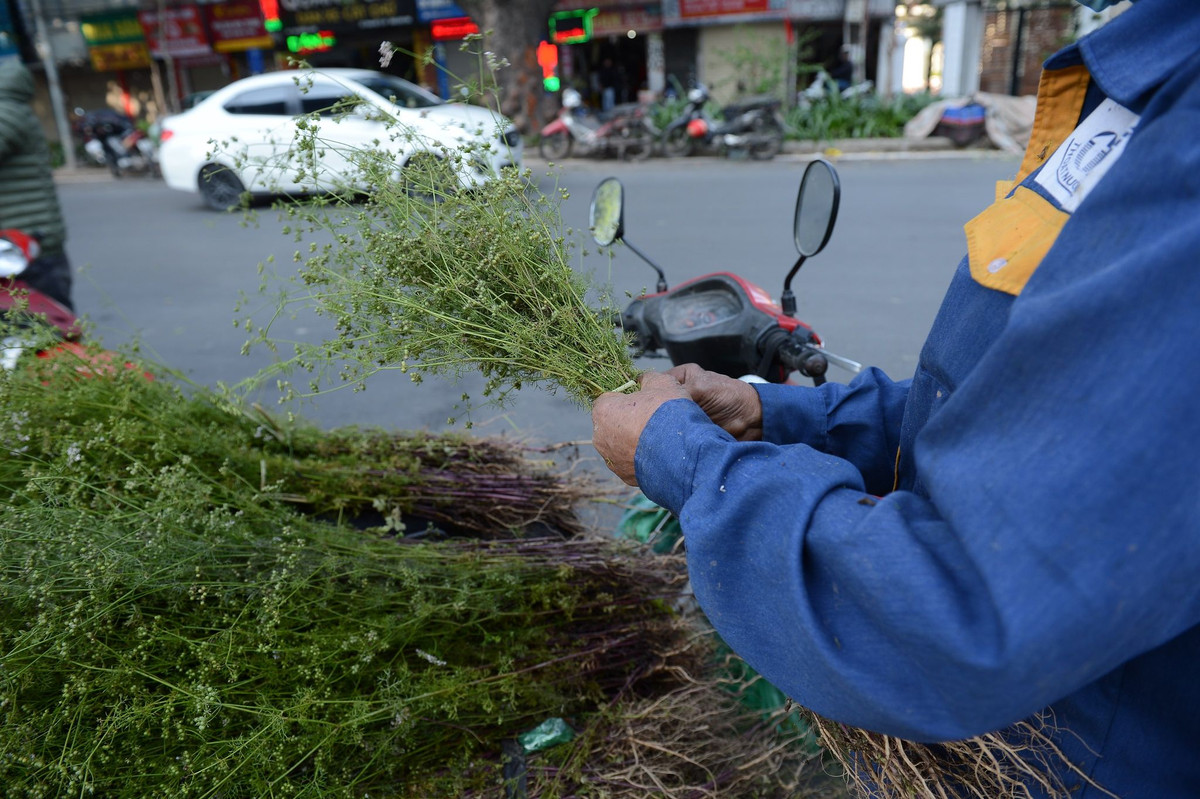 Người bán xếp lá mùi già thành từng bó nhỏ.