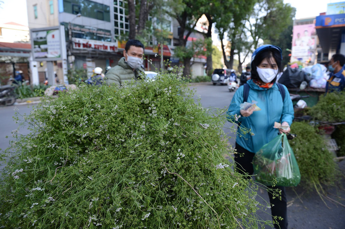 Ngoài mùi tươi, anh cũng bán các sản phẩm tinh dầu chiết xuất từ cây mùi để người dân thuận tiện trong việc sử dụng.