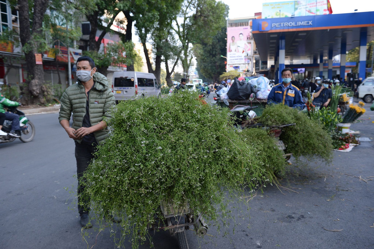 Những xe bán mùi già trên phố.