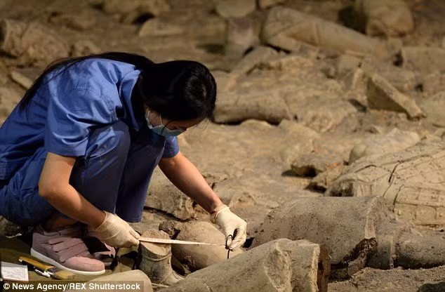 Theo kết quả nghiên cứu ban đầu của các chuyên gia, nhiều ngôi mộ mới tìm thấy tại Tây An có từ thời nhà Tùy và nhà Đường.