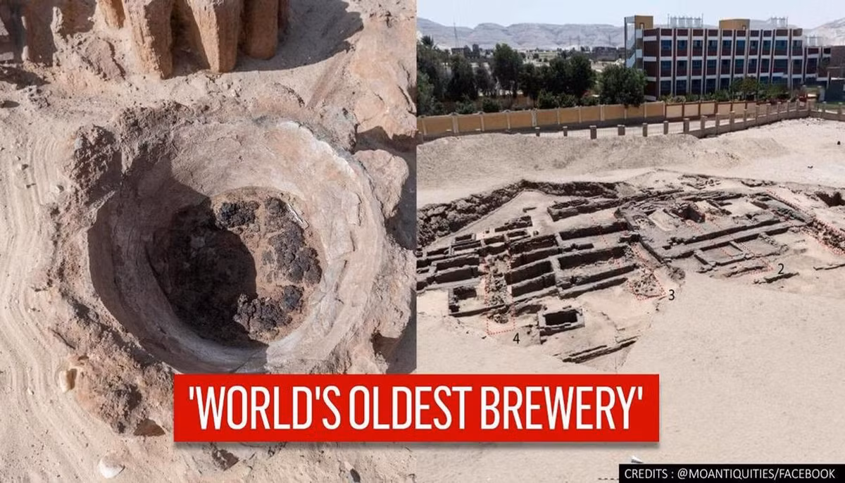 Với quy mô lớn như vậy, nhà máy bia có thể sản xuất được khoảng 22.400 lít bia cùng một lúc.