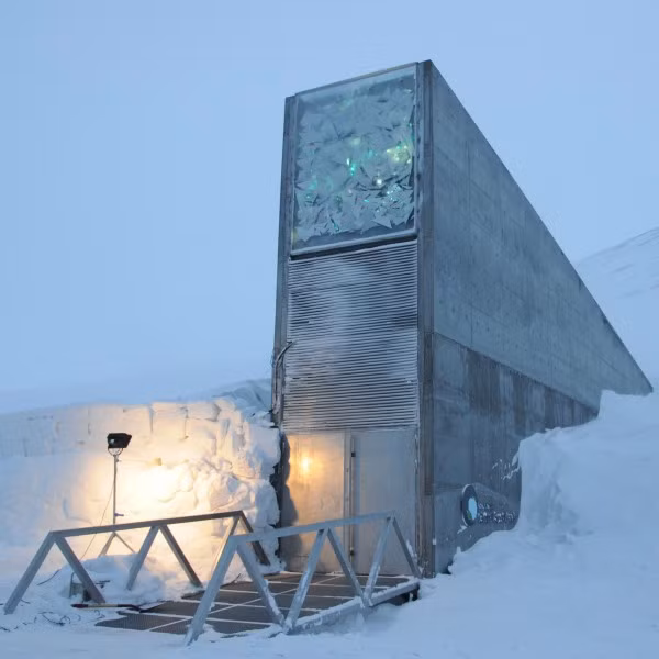 Ngay cả khi băng tan thì Svalbard Global Seed Vault cũng không bị ảnh hưởng. Nguyên do là bởi hầm hạt giống toàn cầu xây dựng trên mực nước biển 150m.