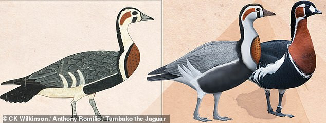 Trong suốt nhiều thập kỷ, giới chuyên gia cố gắng giải mã loài vật vẽ trong bức tranh 4.600 tuổi tìm thấy ở lăng mộ của hoàng tử Nefermaat thuộc những loài nào.