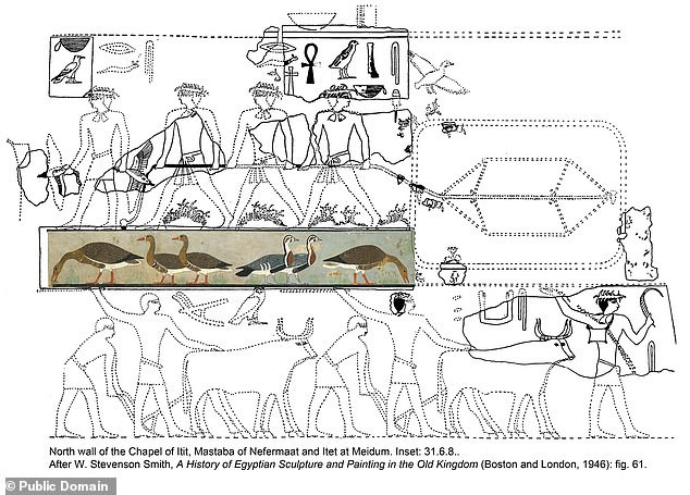 Tuy nhiên, con chim đầu tiên và cuối cùng trong bức tranh chưa được xác định. Một số chuyên gia cho rằng đó có thể là ngỗng xám (A. anser) - tổ tiên của hầu hết ngỗng nhà - hay ngỗng đậu (Anser fabalis).