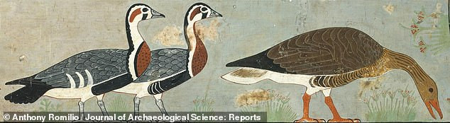 Sau khi tìm thấy, bức tranh cổ trên được đưa tới Bảo tàng Ai Cập ở Cairo lưu giữ và trưng bày. Do tác phẩm này ẩn chứa nhiều bí ẩn khó giải nên được mệnh danh là "Mona Lisa của Ai Cập".