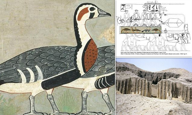 Nhà nghiên cứu Anthony Romilio thuộc Đại học Queensland, Australia mới công bố kết quả nghiên cứu đáng chú ý về bức tranh cổ trên. Theo chuyên gia Romilio, một số con vật trong bức tranh cổ gần 5.000 tuổi là duy nhất, chưa từng được nhìn thấy từ trước đến nay.